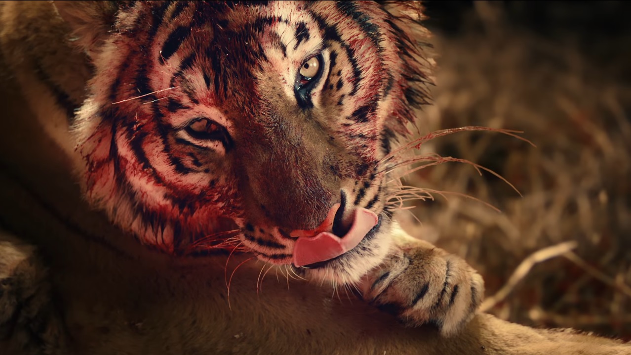 Клип Кольщик от Ленинград