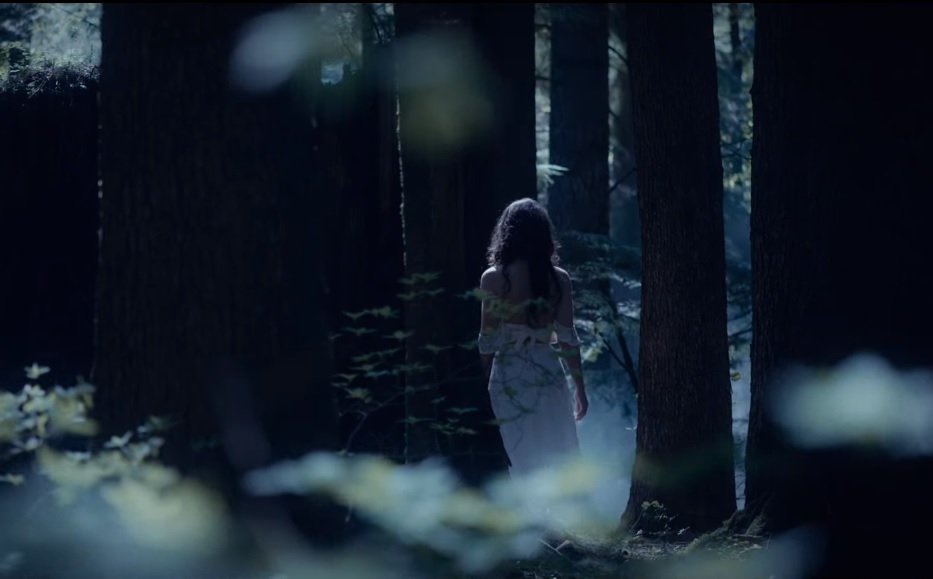 Клип Song On Fire от Nickelback